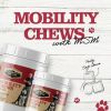 Dr. Pol Mobility Chews with MSM - Glucosamine for Dogs 100 Count